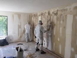 Best Emergency Mold Remediation in Mazon, IL